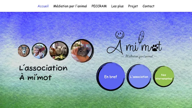 Aperçu du template Association