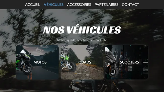 Aperçu du template Garage